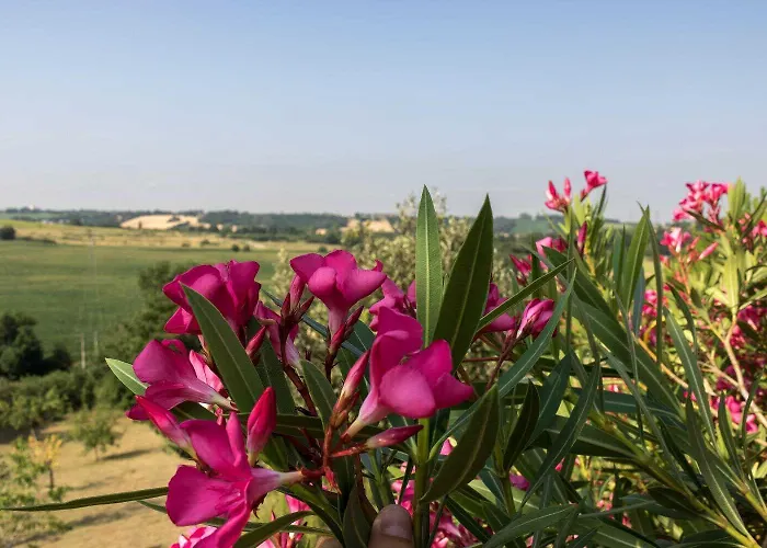 La Marquette Casa de Férias Montrabe